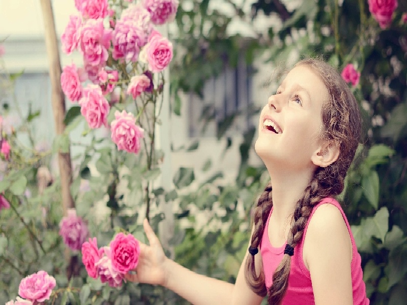 试管移植前后变化试管移植几细胞试管活什么火